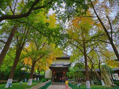 -郑和公园