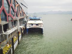 -招商蛇口邮轮母港(观光客运)
