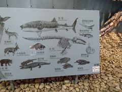 -浙江自然博物院(杭州馆)