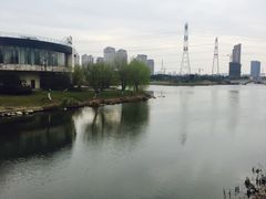 -九里河湿地公园