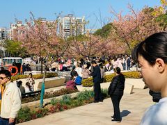 -新江湾城公园