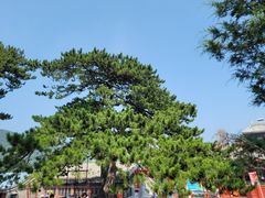-妙峰山风景名胜区