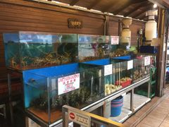-真浪花园海鲜餐馆