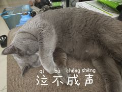-杭州浪浪浪水公园