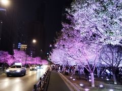 -西北湖绿化广场