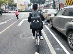 -一只酸奶牛(八一路店)