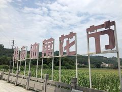 -红山村