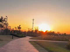 -春花秋色城市公园