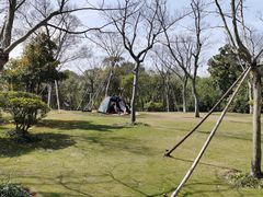 -吴淞炮台湾湿地森林公园烧烤区