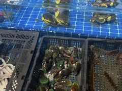 -双福水果批发市场