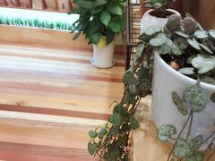 -猫的天空之城概念书店(印象城购物中心店)