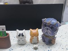 -半岛宠物医院24小时(白果林店)
