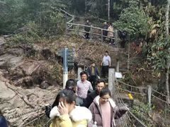 -九龙江国家森林公园