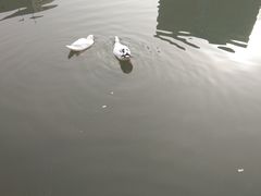 -河南财经政法大学(郑东校区)