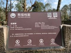 -都江堰中华大熊猫苑