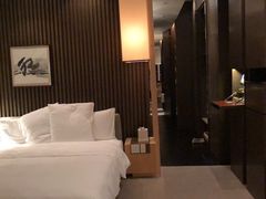 -上海柏悦酒店