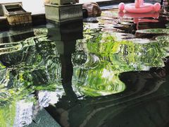 -天目湖御水温泉·度假酒店