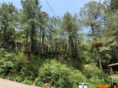 -梦幻奥陶纪景区