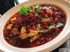 香辣芋儿蛙-付掌柜在成都·热炒砂锅集(金禾店)