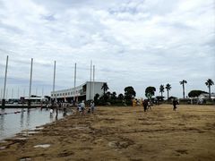 -碧海金沙