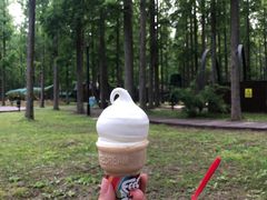 -黄海国家森林公园