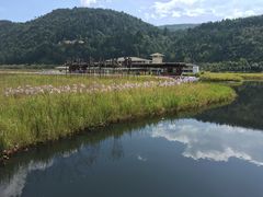 -腾冲北海湿地