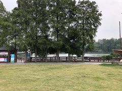 -东湖落雁景区