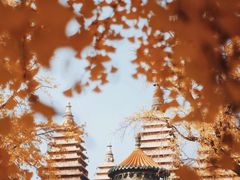 -北京石刻艺术博物馆(五塔寺)