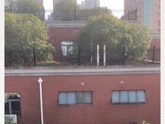 -上海市黄浦区卢湾第一中心小学