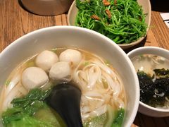 -MR鹅外