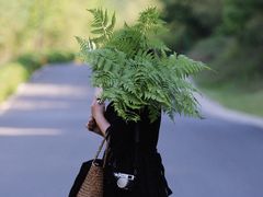 -南京市无想山景区
