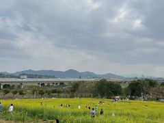 -光明小镇欢乐田园