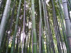 -紫金山天文台