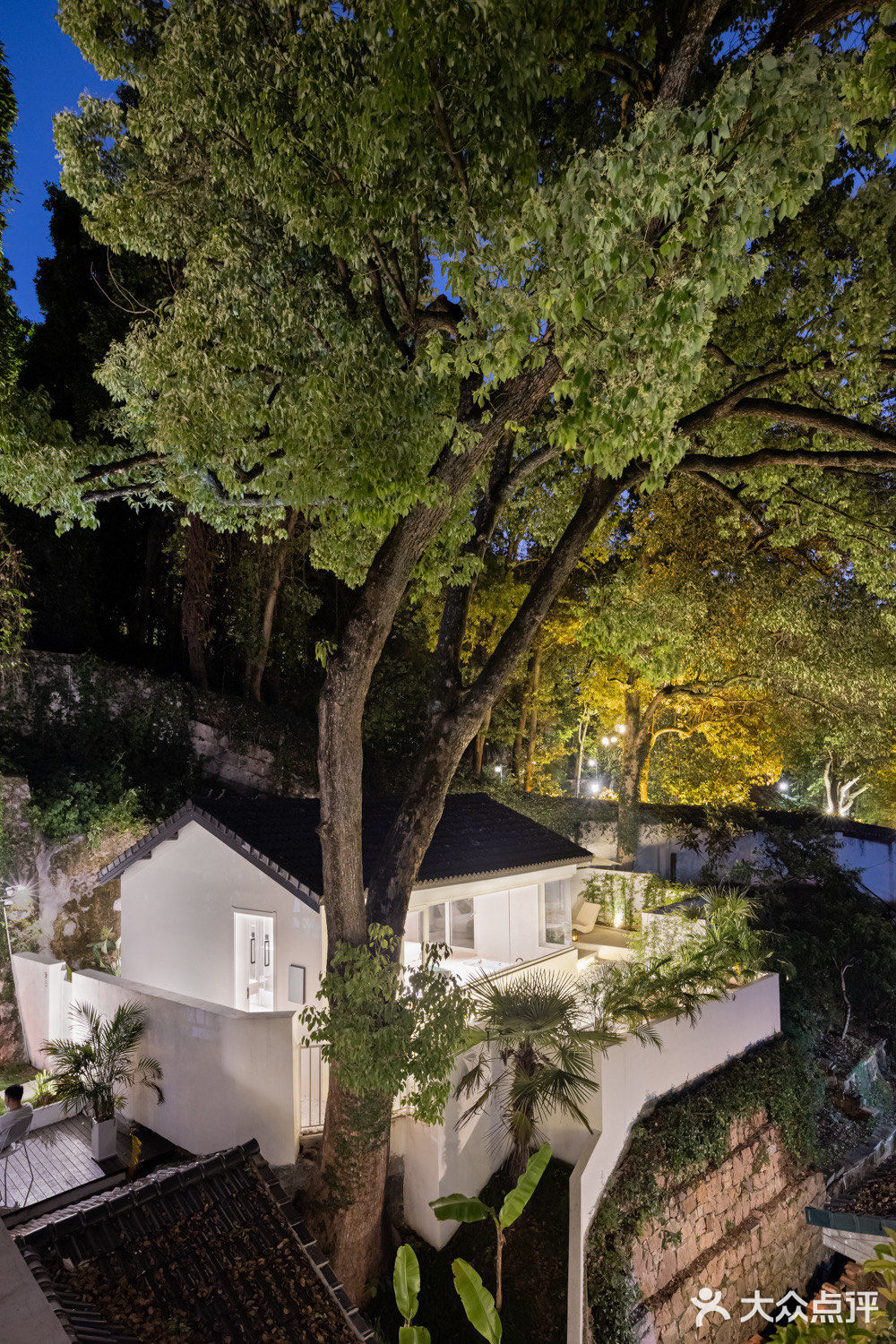 溪林里的夏天🍉五星玩水地💦上海1h直达