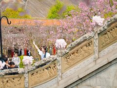 -宝墨园景区