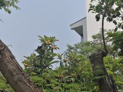 -苏州香山国际大酒店