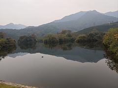 -龙坞茶村