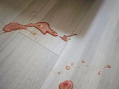 -美联众合动物医院·24h转诊中心
