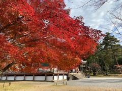 -醍醐寺