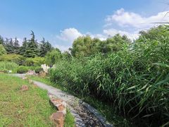 -凤城河风景区