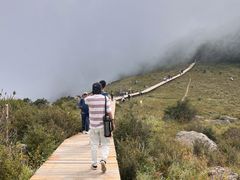 -白草畔自然风景区