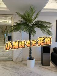 -小梨·OndaPro·专业脱毛连锁机构