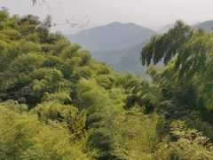 -莫干山风景区