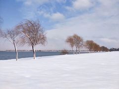 -漕湖湿地公园