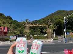 -梅岭月亮湾山体公园