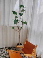 -Fancy梵汐·轻奢量肤定制