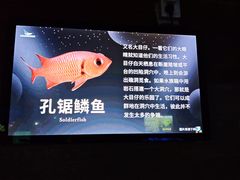 -太平洋海底世界