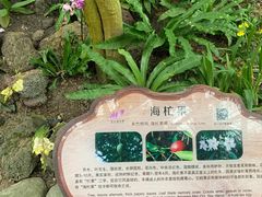 -南山植物园