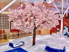 -Mr·Kuma酷么先生雪之乐园