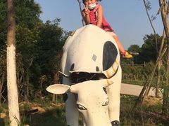 -武汉紫薇都市田园